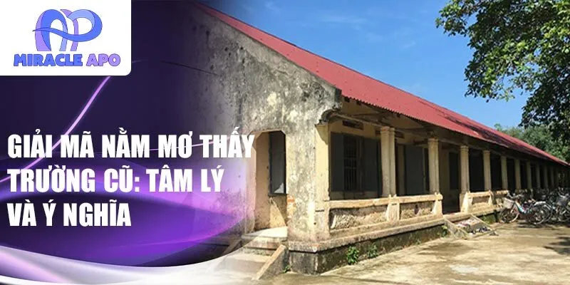 Giải mã nằm mơ thấy trường cũ: tâm lý và ý nghĩa