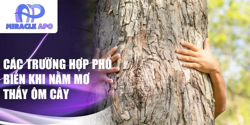 Các trường hợp phổ biến khi nằm mơ thấy ôm cây