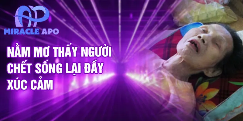 Nằm mơ thấy người chết sống lại đầy xúc cảm